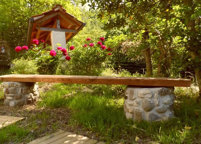 Brugnola 1932 Vegan Bardi